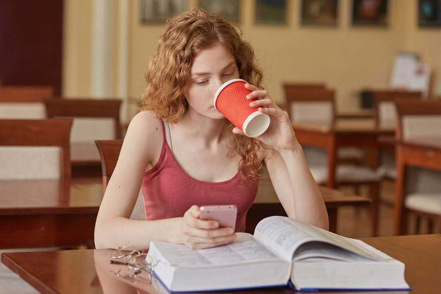 Almanca C1 seviyesinde akademik araştırma ve telc C1 sınav hazırlığı